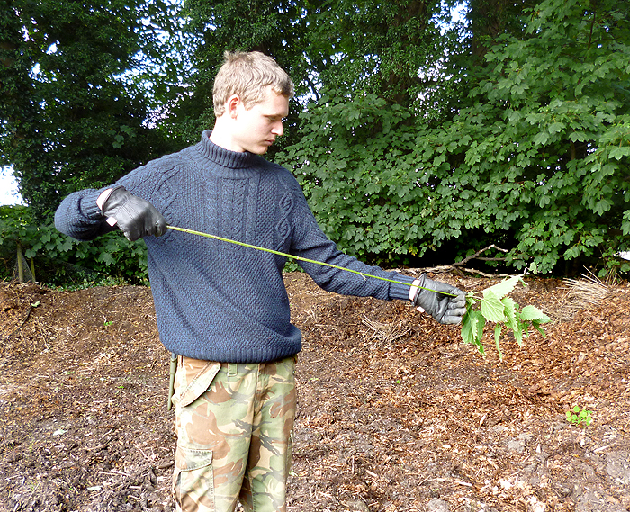 How to make Nettle cordage