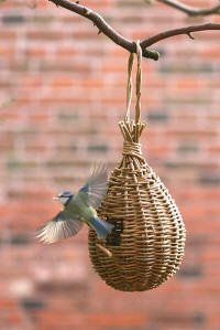 Bird,bird cage,bird bath,bird feeders,bird house